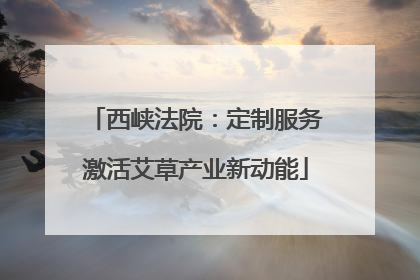 西峡法院：定制服务激活艾草产业新动能